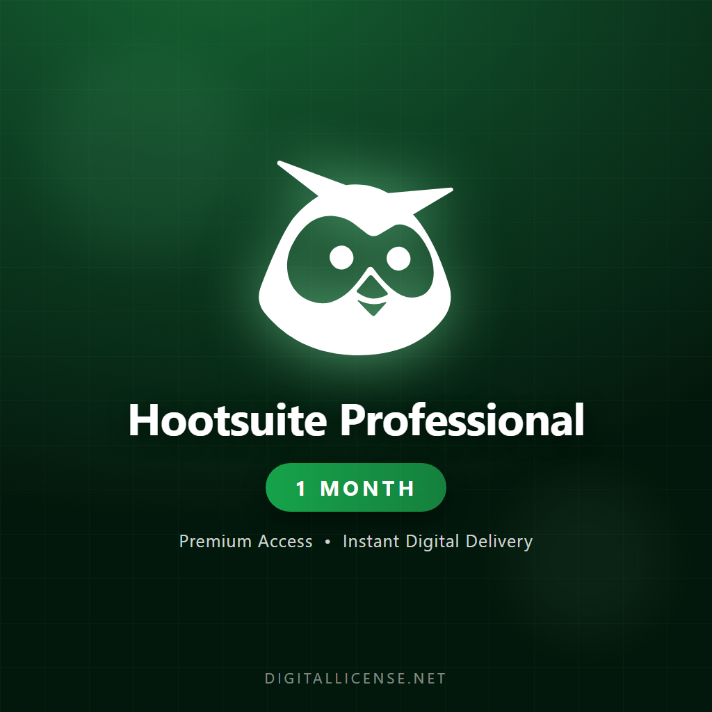 Hootsuite Professional