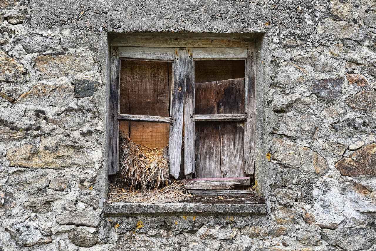 Bad System Config Info Windows 11 Error Solved In Minutes