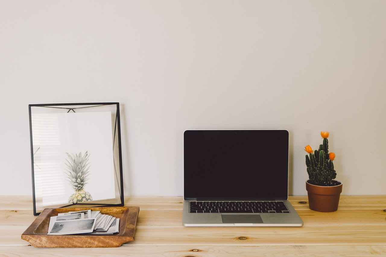 Adobe Stock: The Unpredictable Journey of a Newbie